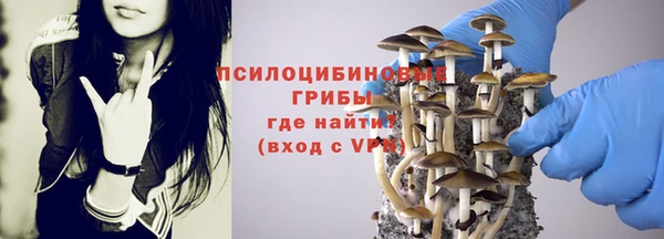 spice Алексин