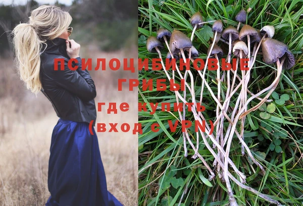 героин Алзамай