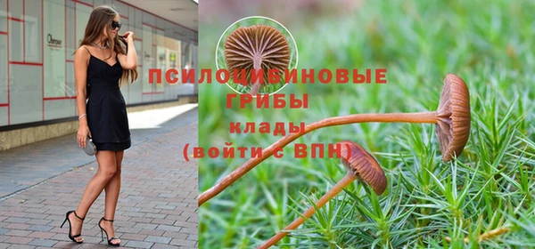 а пвп мука Алексеевка