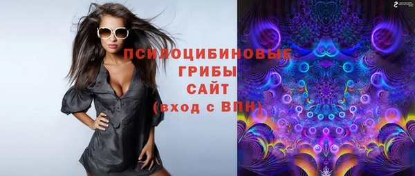 спиды Абаза