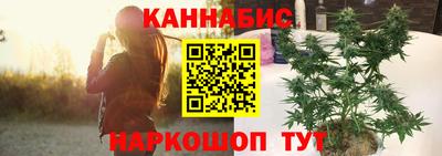 амф Кингисепп