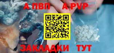 амф Кингисепп