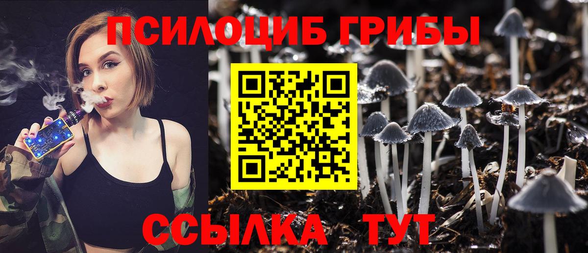 что такое наркотик  Вход с VPN  Норильск  Псилоцибиновые грибы Cubensis 